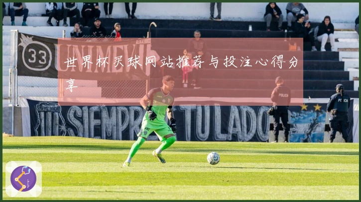 世界杯买球网站推荐与投注心得分享