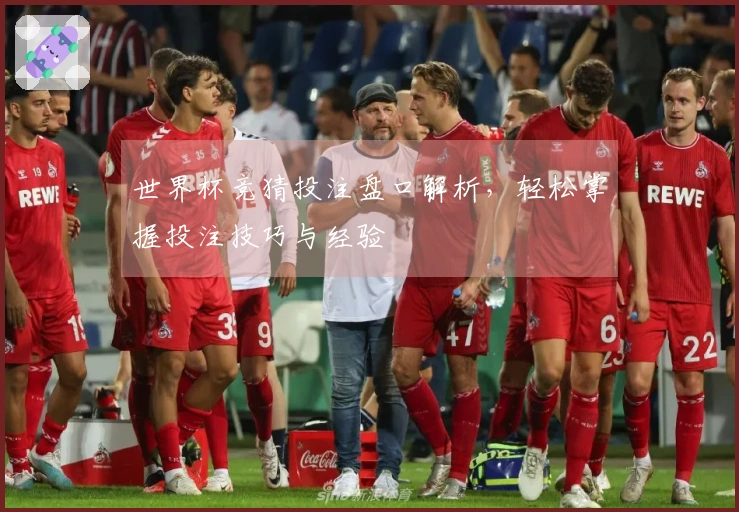 世界杯竞猜投注盘口解析，轻松掌握投注技巧与经验