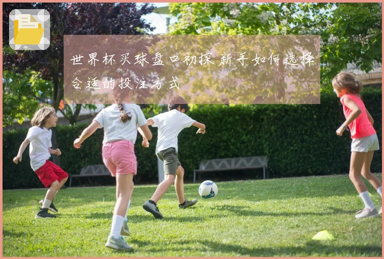 世界杯买球盘口初探 新手如何选择合适的投注方式