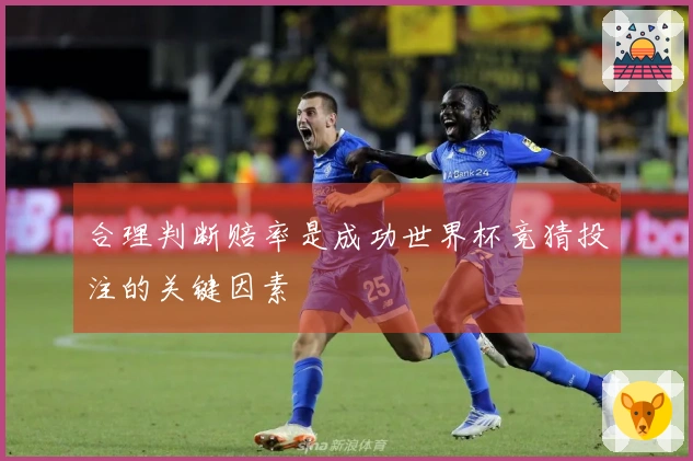 合理判断赔率是成功世界杯竞猜投注的关键因素