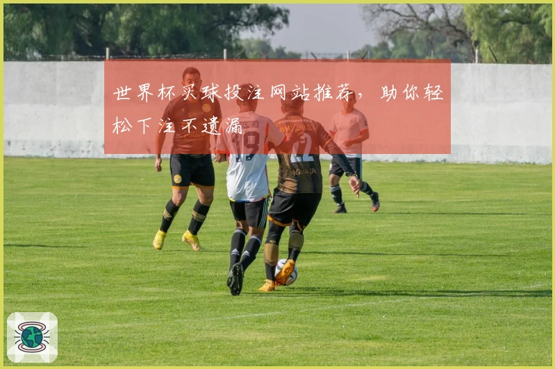 世界杯买球投注网站推荐，助你轻松下注不遗漏