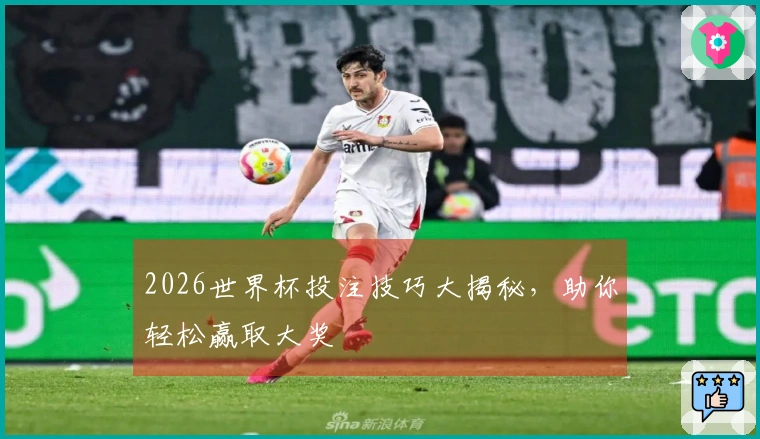 2026世界杯投注技巧大揭秘，助你轻松赢取大奖