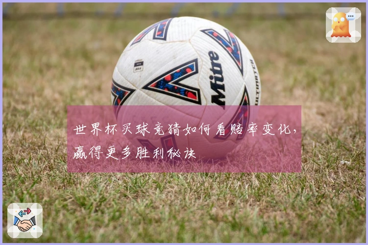 世界杯买球竞猜如何看赔率变化，赢得更多胜利秘诀