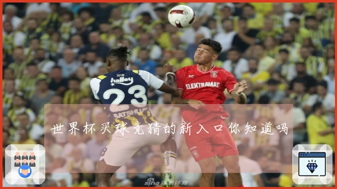 世界杯买球竞猜的新入口你知道吗