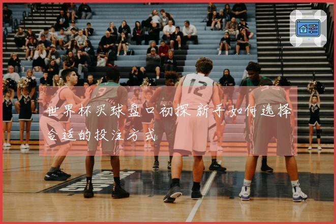 世界杯买球盘口初探 新手如何选择合适的投注方式