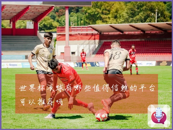 世界杯滚球有哪些值得信赖的平台可以推荐吗