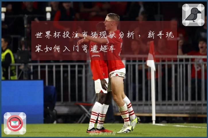 世界杯投注市场现状分析 ，新手玩家如何入门弯道超车