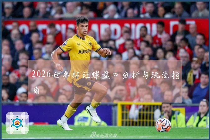 2026世界杯让球盘口分析与玩法指南